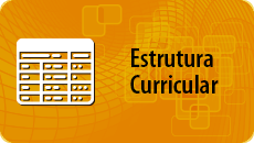 NEW Icones Portal CURSOS Estrutura Curricular